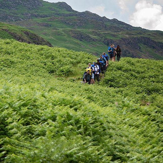 520x520-graduates-walking-valley